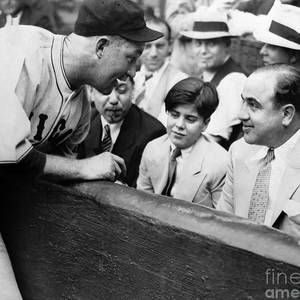 43.4_al-capone-at-the-cubs-game-jon-neidert.jpg