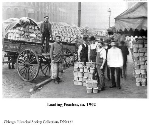 18.3_loading peaches Italians 1902.jpg