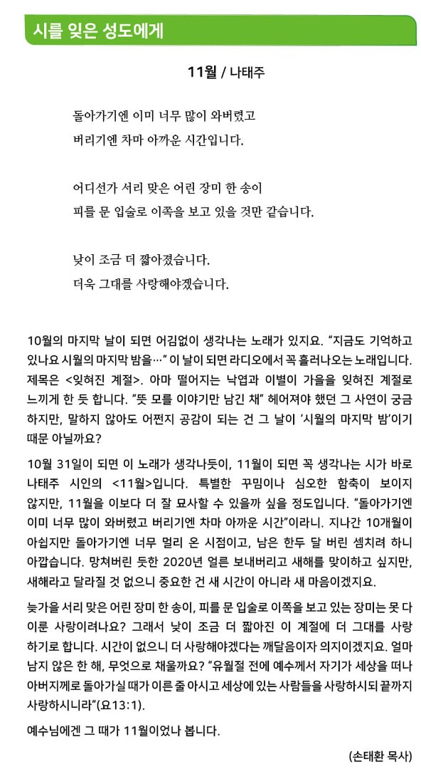 시를잊은_20201108.jpg