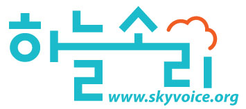 skyvoice_logo.jpg