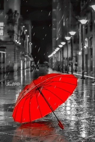 우산.jpg