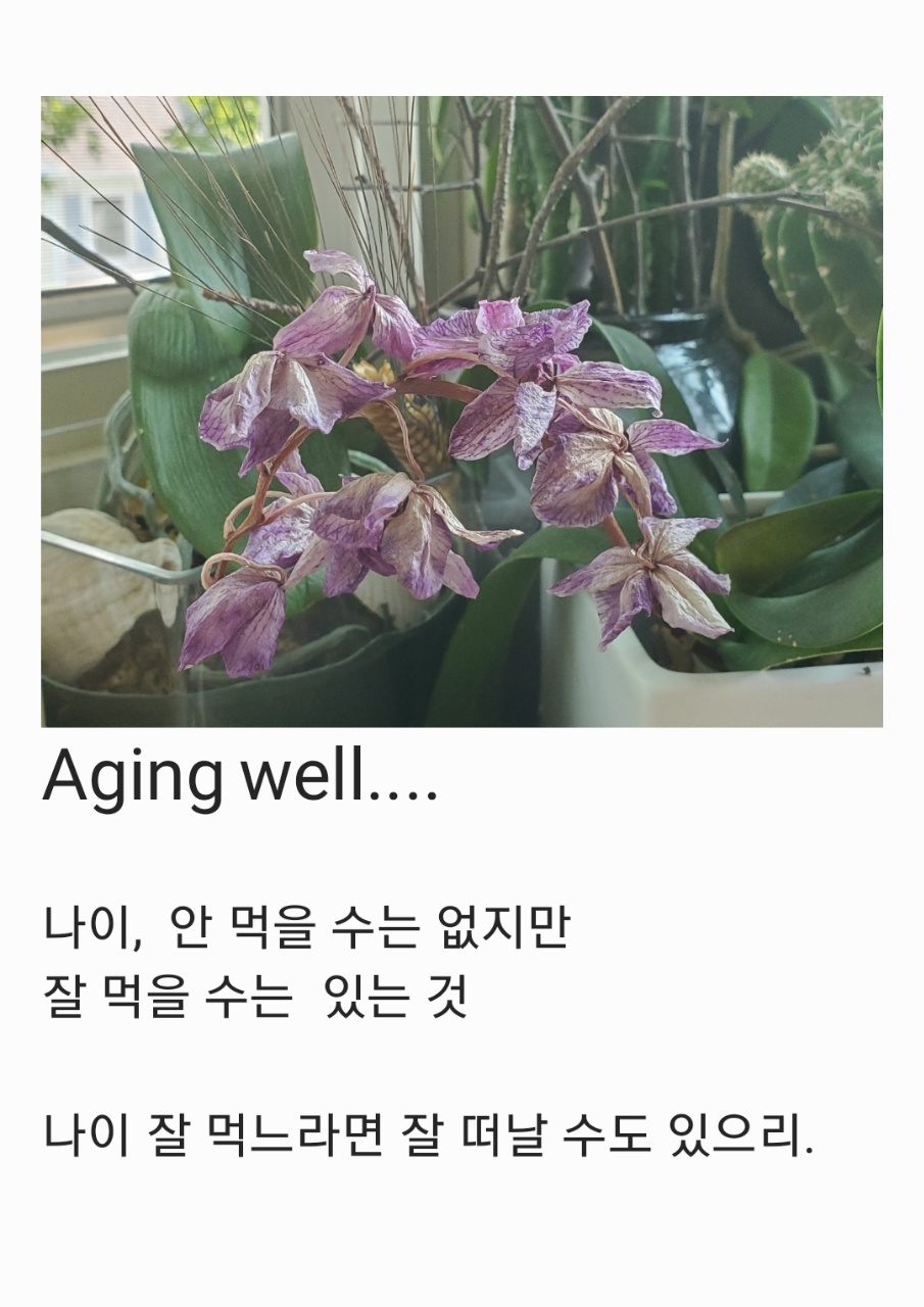 디카시_AgingWell.jpg